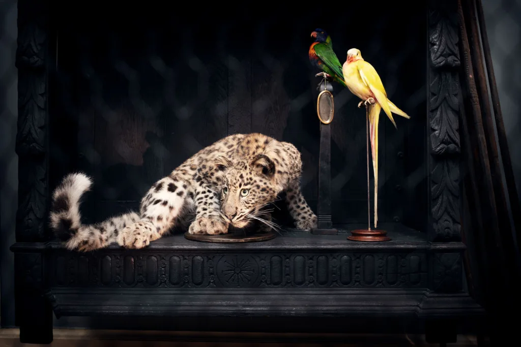 ZOO_AR_4
