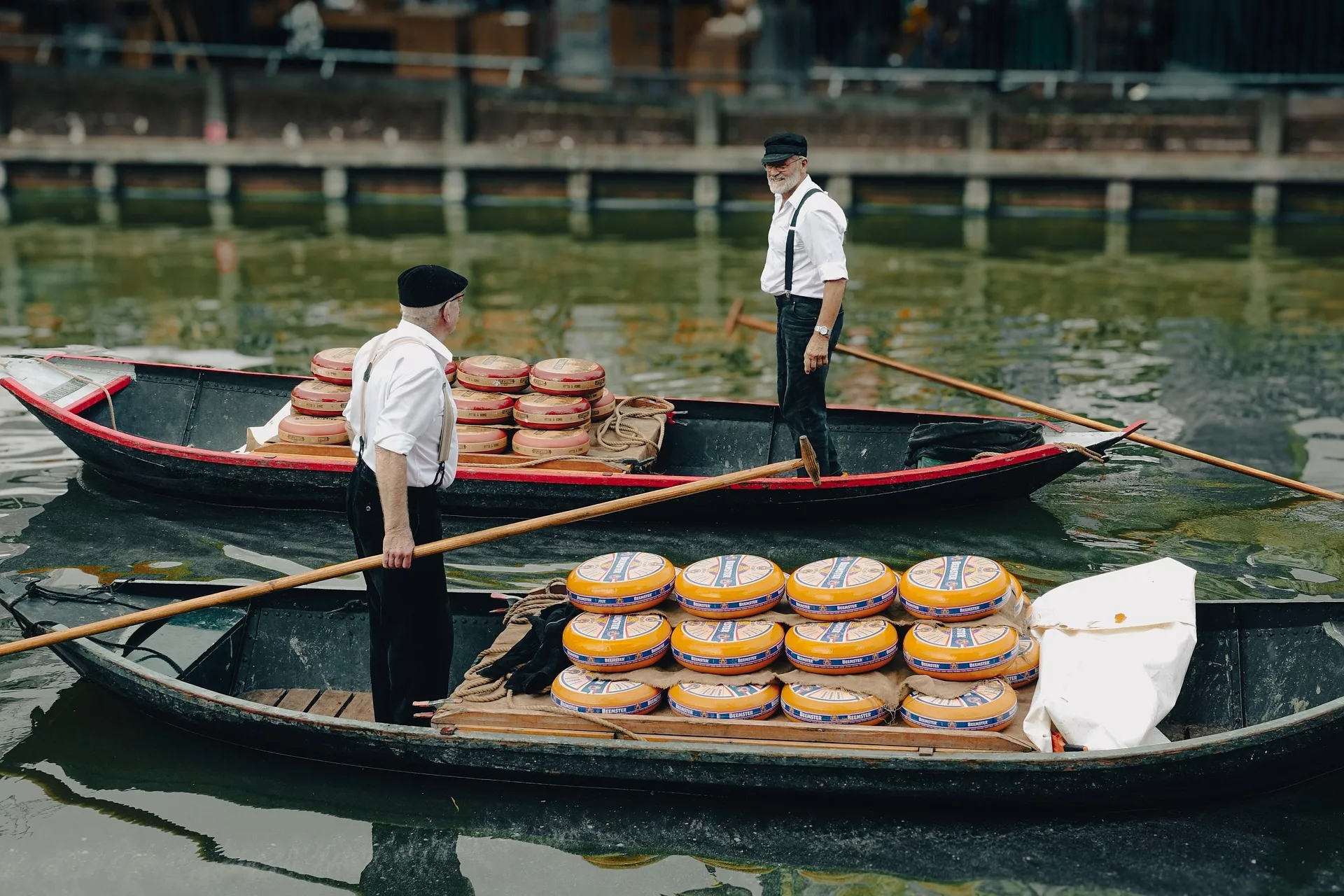 Smidtje Canal Cruises Haarlem - Alkmaar Cheese Cruises hero